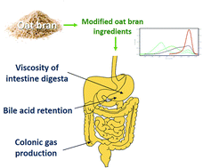 Graphical abstract: In vitro study for investigating the impact of decreasing the molecular weight of oat bran dietary fibre components on the behaviour in small and large intestine