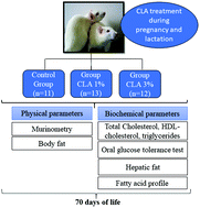 Graphical abstract: Maternal consumption of conjugated linoleic acid improves tolerance to glucose and hdl-cholesterol in the rat progeny