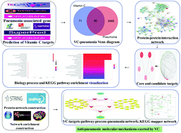 Graphical abstract: Therapeutic target and molecular mechanism of vitamin C-treated pneumonia: a systematic study of network pharmacology