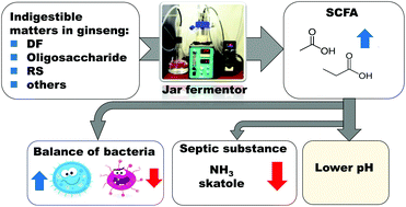 Graphical abstract: In vitro fermentation potential of the residue of Korean red ginseng root in a mixed culture of swine faecal bacteria