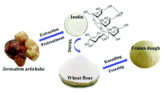 Graphical abstract: Effects of inulin on protein in frozen dough during frozen storage