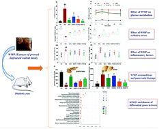 Graphical abstract: Glycolipid metabolism and liver transcriptomic analysis of the therapeutic effects of pressed degreased walnut meal extracts on type 2 diabetes mellitus rats