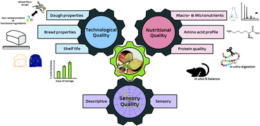 Graphical abstract: Enhancing the nutritional profile of regular wheat bread while maintaining technological quality and adequate sensory attributes