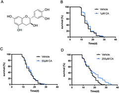 Graphical abstract: Catechinic acid, a natural polyphenol compound, extends the lifespan of Caenorhabditis elegans via mitophagy pathways