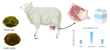 Graphical abstract: Effect of replacement of antibiotics with thyme and celery seed mixture on the feed intake and digestion, ruminal fermentation, blood chemistry, and milk lactation of lactating Barki ewes