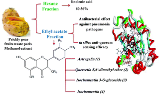 Graphical abstract: Identification and isolation of anti-pneumonia bioactive compounds from Opuntia ficus-indica fruit waste peels