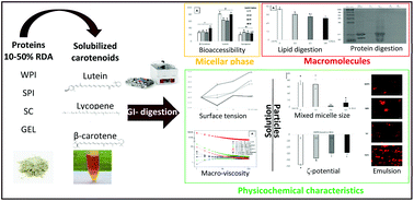 Graphical abstract: Influence of soy and whey protein, gelatin and sodium caseinate on carotenoid bioaccessibility