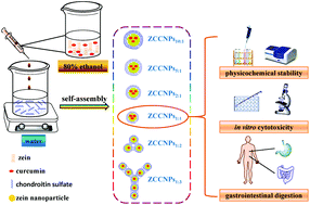 Graphical abstract: Self-assembled composite nanoparticles based on zein as delivery vehicles of curcumin: role of chondroitin sulfate