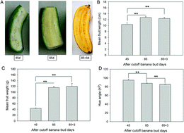 Graphical abstract: Nutritional component changes in Xiangfen 1 banana at different developmental stages