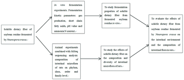 Graphical abstract: Effects of soluble dietary fiber from soybean residue fermented by Neurospora crassa on the intestinal flora in rats