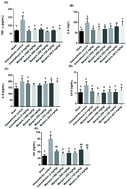 Graphical abstract: Manjarix attenuated pain and joint swelling in a rat model of monosodium iodoacetate-induced osteoarthritis