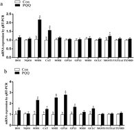 Graphical abstract: Effect of dietary pyrroloquinoline quinone disodium in sows on intestinal health of the offspring