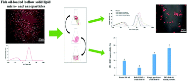 Graphical abstract: In vitro bioaccessibility of fish oil-loaded hollow solid lipid micro- and nanoparticles