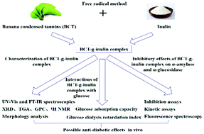 Graphical abstract: Preparation, characterization and in vitro hypoglycemic activity of banana condensed tannin–inulin conjugate