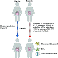 Graphical abstract: Effects of probiotic therapy on cardio-metabolic parameters and autonomic modulation in hypertensive women: a randomized, triple-blind, placebo-controlled trial