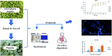 Graphical abstract: Nutritional quality and in vitro digestion of immature rice-based processed products