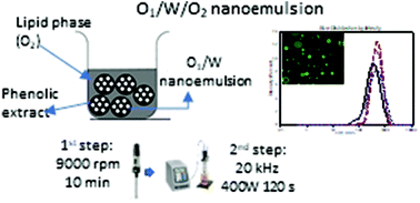 Graphical abstract: Enhancement of physicochemical and encapsulation stability of O1/W/O2 multiple nanoemulsions loaded with coenzyme Q10 or conjugated linoleic acid by incorporating polyphenolic extract