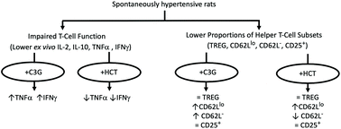 Graphical abstract: Effects of cyanidin 3-O-glucoside and hydrochlorothiazide on T-cell phenotypes and function in spontaneously hypertensive rats