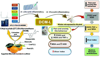 Graphical abstract: Phytochemical characterization and anti-inflammatory potential of Egyptian Murcott mandarin cultivar waste (stem, leaves and peel)