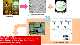 Graphical abstract: The development of a novel functional food: bioactive lipids in yogurts enriched with Aurantiochytrium sp. biomass