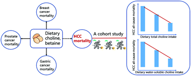 Graphical abstract: Dietary choline, rather than betaine intake, is associated with hepatocellular carcinoma mortality