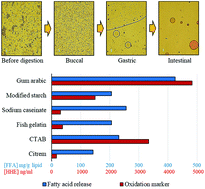 Graphical abstract: Effect of emulsifiers on linseed oil emulsion structure, lipolysis and oxidation during in vitro digestion