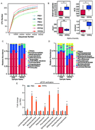 Graphical abstract: Effects of Pinus massoniana pollen polysaccharides on intestinal microenvironment and colitis in mice