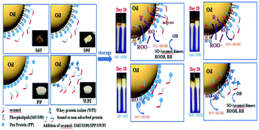 Graphical abstract: Effect of sesamol on the physical and chemical stability of plant-based flaxseed oil-in-water emulsions stabilized by proteins or phospholipids