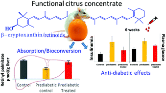 Graphical abstract: Preventive action of retinoids in metabolic syndrome/type 2 diabetic rats fed with citrus functional food enriched in β-cryptoxanthin
