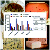Graphical abstract: Can cheese mites, maggots and molds enhance bioactivity? Peptidomic investigation of functional peptides in four traditional cheeses