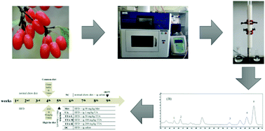 Graphical abstract: Ultrasonic–microwave assisted extraction of total triterpenoid acids from Corni Fructus and hypoglycemic and hypolipidemic activities of the extract in mice