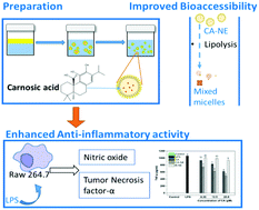 Graphical abstract: Improving in vitro bioaccessibility and bioactivity of carnosic acid using a lecithin-based nanoemulsion system