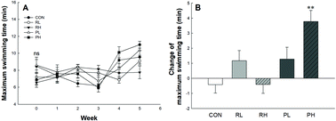 Graphical abstract: Effect of the protein hydrolysate of rice syrup meal on the endurance exercise performance of BALB/c mice