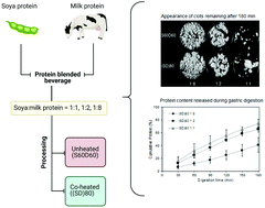 Graphical abstract: In vitro dynamic gastric digestion of soya protein/milk protein blended beverages: influence of protein composition and co-processing