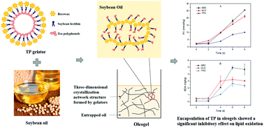 Graphical abstract: Formation, structural characteristics and physicochemical properties of beeswax oleogels prepared with tea polyphenol loaded gelators