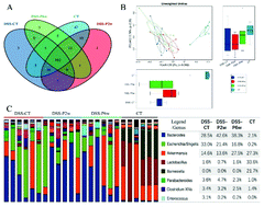 Graphical abstract: Long-term and continuous administration of Bacillus subtilis during remission effectively maintains the remission of inflammatory bowel disease by protecting intestinal integrity, regulating epithelial proliferation, and reshaping microbial structure and function