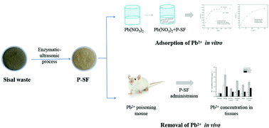 Graphical abstract: Removing Pb2+ with a pectin-rich fiber from sisal waste