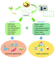 Graphical abstract: A recent update on the multifaceted health benefits associated with ginger and its bioactive components