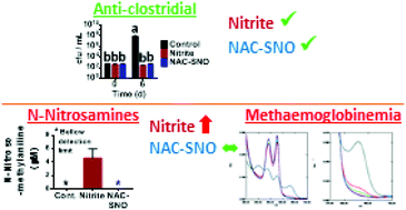 Graphical abstract: S-Nitroso-N-acetylcysteine (NAC–SNO) vs. nitrite as an anti-clostridial additive for meat products