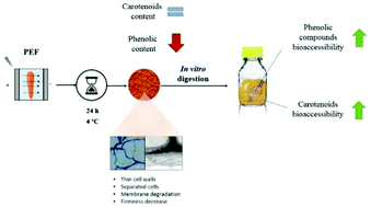 Graphical abstract: Effect of pulsed electric fields on carotenoid and phenolic bioaccessibility and their relationship with carrot structure