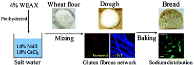 Graphical abstract: Salt reduction in bread via enrichment of dietary fiber containing sodium and calcium