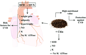 Graphical abstract: Cardioprotective action of chia (Salvia hispanica L.) in ovariectomized rats fed a high fat diet