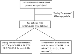 Graphical abstract: Dietary choline and betaine intake and risk of hypertension development: a 7.4-year follow-up