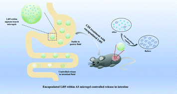 Graphical abstract: Impact of encapsulating a probiotic (Pediococcus pentosaceus Li05) within gastro-responsive microgels on Clostridium difficile infections