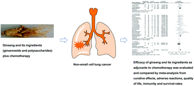 Graphical abstract: Efficacy of ginseng and its ingredients as adjuvants to chemotherapy in non-small cell lung cancer