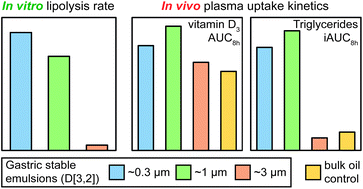 Graphical abstract: The impact of emulsion droplet size on in vitro lipolysis rate and in vivo plasma uptake kinetics of triglycerides and vitamin D3 in rats