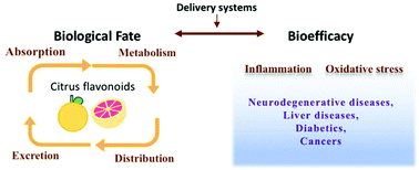 Graphical abstract: The biological fate and bioefficacy of citrus flavonoids: bioavailability, biotransformation, and delivery systems