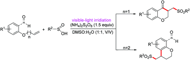 Graphical abstract: Synthesis of sulfone-functionalized chroman-4-ones and chromans through visible-light-induced cascade radical cyclization under transition-metal-free conditions