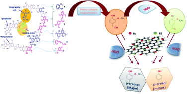 Graphical abstract: Improved Pd/Ru metal supported graphene oxide nano-catalysts for hydrodeoxygenation (HDO) of vanillyl alcohol, vanillin and lignin