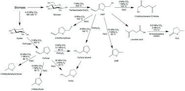 Graphical abstract: Recent achievements in CO2-assisted and CO2-catalyzed biomass conversion reactions